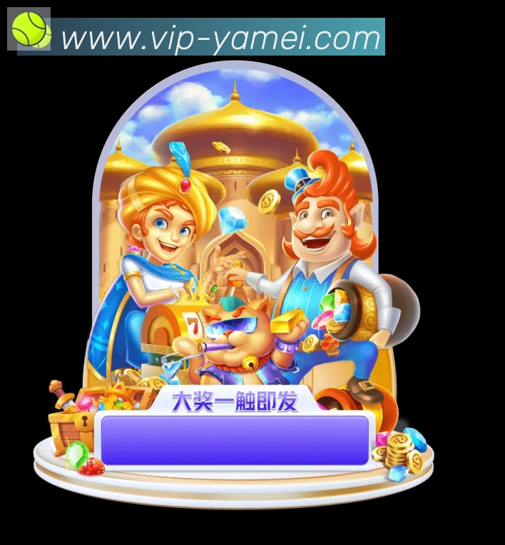 互动解说服务